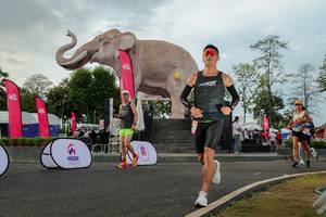 BIB: 
                            <button type="button" onclick="openModal(26528515)" class="btn btn-primary btn-sm float-right btn-popup" data-toggle="modal" data-target=".modal-high-quality">
                        <i class="fas fa-shopping-cart"></i> Add to Cart
                    </button>
                                            <button type="button" onclick="isThisMe(26528515, true)" class="btn btn-success btn-sm float-right btn-popup btn-isme hidden" data-toggle="tooltip" data-placement="bottom" title="นี่คือรูปของคุณใช่ไหม คลิกที่นี่เพื่อเอาเข้าอัลบั้ม">
                        <i class="fas fa-plus"></i> Add to album
                    </button>
                    <button type="button" onclick="isThisMe(26528515, false)" class="btn btn-warning btn-sm float-right btn-popup btn-isnotme hidden">
                        <i class="fas fa-ban"></i> Remove from album
                    </button>